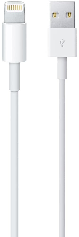 Apple Cable Lightning | USB-A MXLY2AM/A - 1 Metro 1