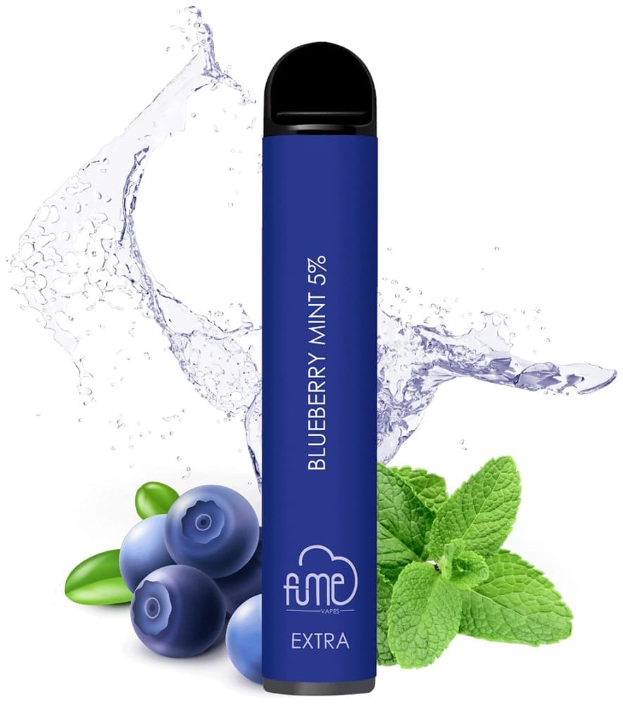 Vaper Descartável Fume Extra 5% Nicotina 1500 Puffs - Blueberry Mint