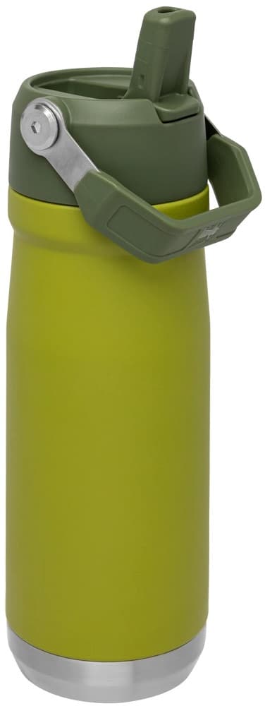 Garrafa Térmica Stanley Classic The IceFlow Flip Straw Water Bottle 650ml - Aloe (10-09992-033) 1