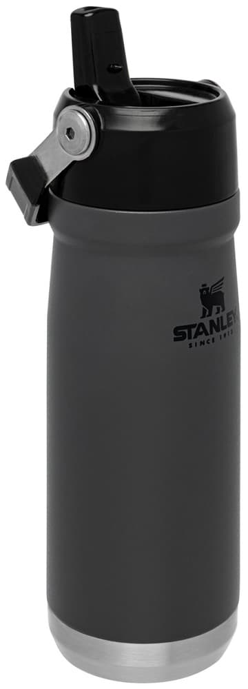 Garrafa Térmica Stanley Classic The IceFlow Flip Straw Water Bottle 650ml - Charcoal (70-23622-001) 1