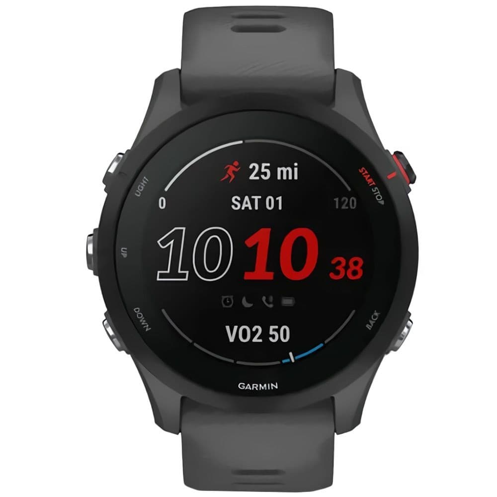 Relógio GPS Garmin Forerunner 255 010-0264-00 - Slate Grey 1