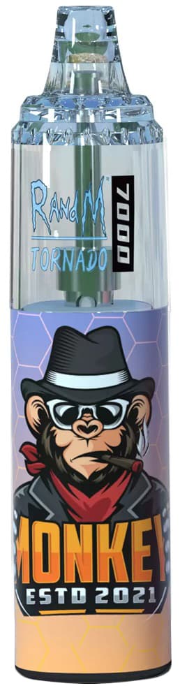 Vaper Descartável Randm Tornado 5% Nicotina 7000 Puffs - Grape Ice