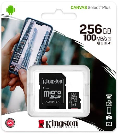 Memória Micro SD Kingston SDCS2 256GB Class 10