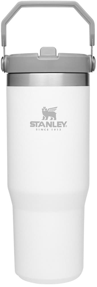 Garrafa Térmica Stanley Classic The IceFlow Flip Straw Tumbler 887mL - Polar 1