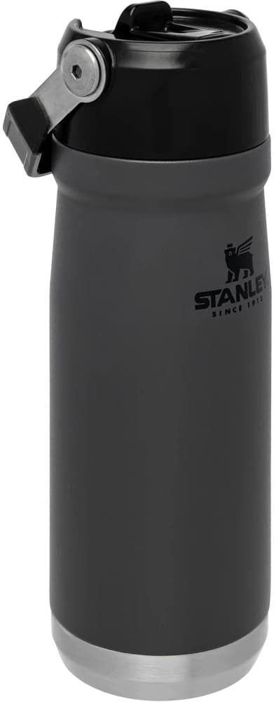 Garrafa Térmica Stanley Classic The IceFlow Flip Straw Water Bottle 650ml - Charcoal (10-09992-032) 1