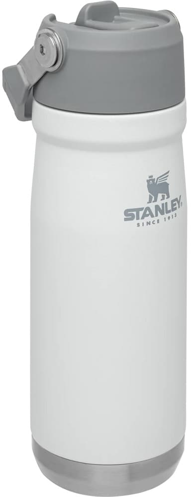 Garrafa Térmica Stanley Classic The IceFlow Flip Straw Water Bottle 650ml - Polar (10-09992-031) 3