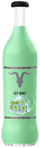 Vaper Descartável Ignite V25 5% Nicotina 2500 Puffs - Icy Mint