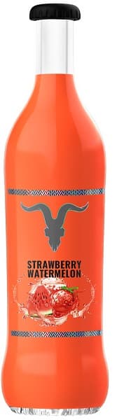 Vaper Descartável Ignite V25 5% Nicotina 2500 Puffs - Strawberry Watermelon