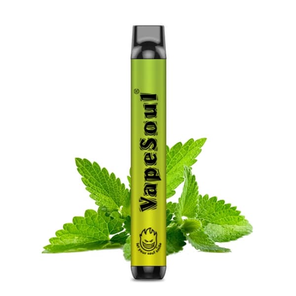 Vaper VapeSoul Descartável 5% Nicotina 1000 Puffs - Mint Ice