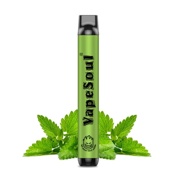 Vaper VapeSoul Descartável 5% Nicotina 1000 Puffs - Mint Menthol